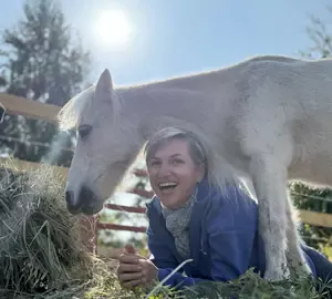Equine assisted wellness dubai horses pony coaching