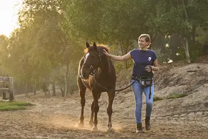 Learn about transformational, science-informed horse assisted coaching in Dubai and Abu Dhabi by FeelQuest.