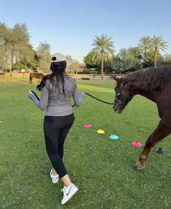 horse guided coaching empowerment faq how much is a session dubai