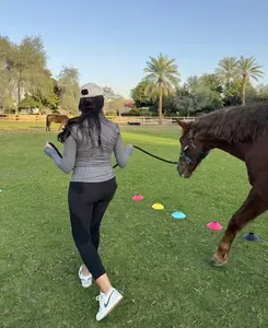 horse guided coaching empowerment faq how much is a session dubai