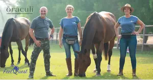 Oraculi Feelquest the power of possible horses coaching