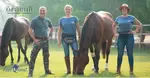 Oraculi Feelquest the power of possible horses coaching