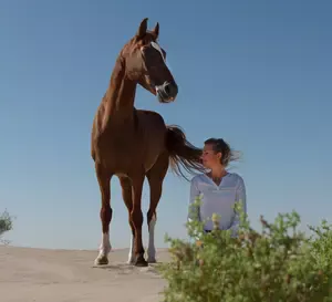 explore how horse-centered equestrian facility design can shape the future of your development