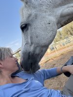 equine therapy horse near me sharjah dubai abu dhabi mleiha healing coaching