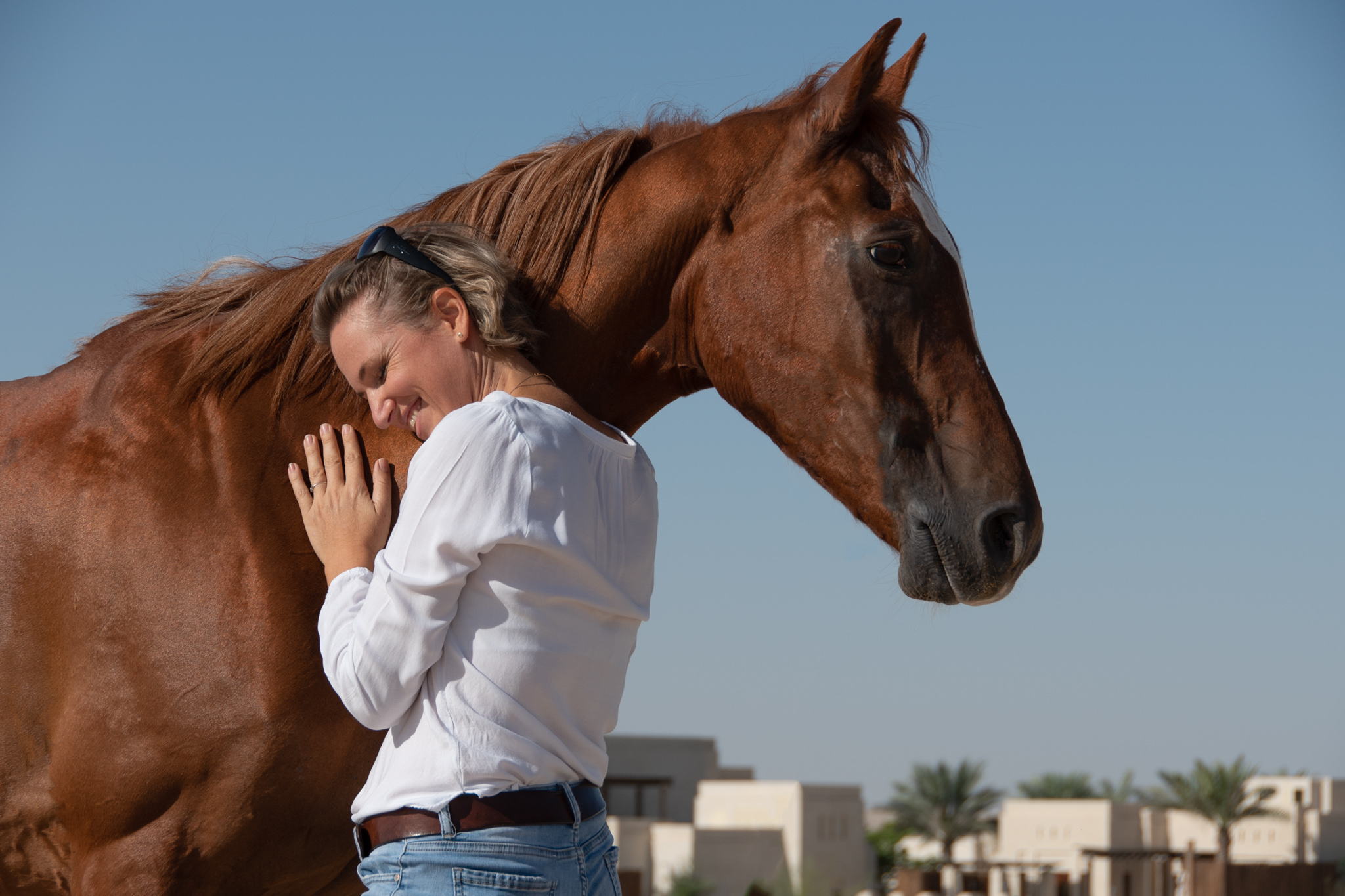 Equine assisted psychotherapy mental health EAP