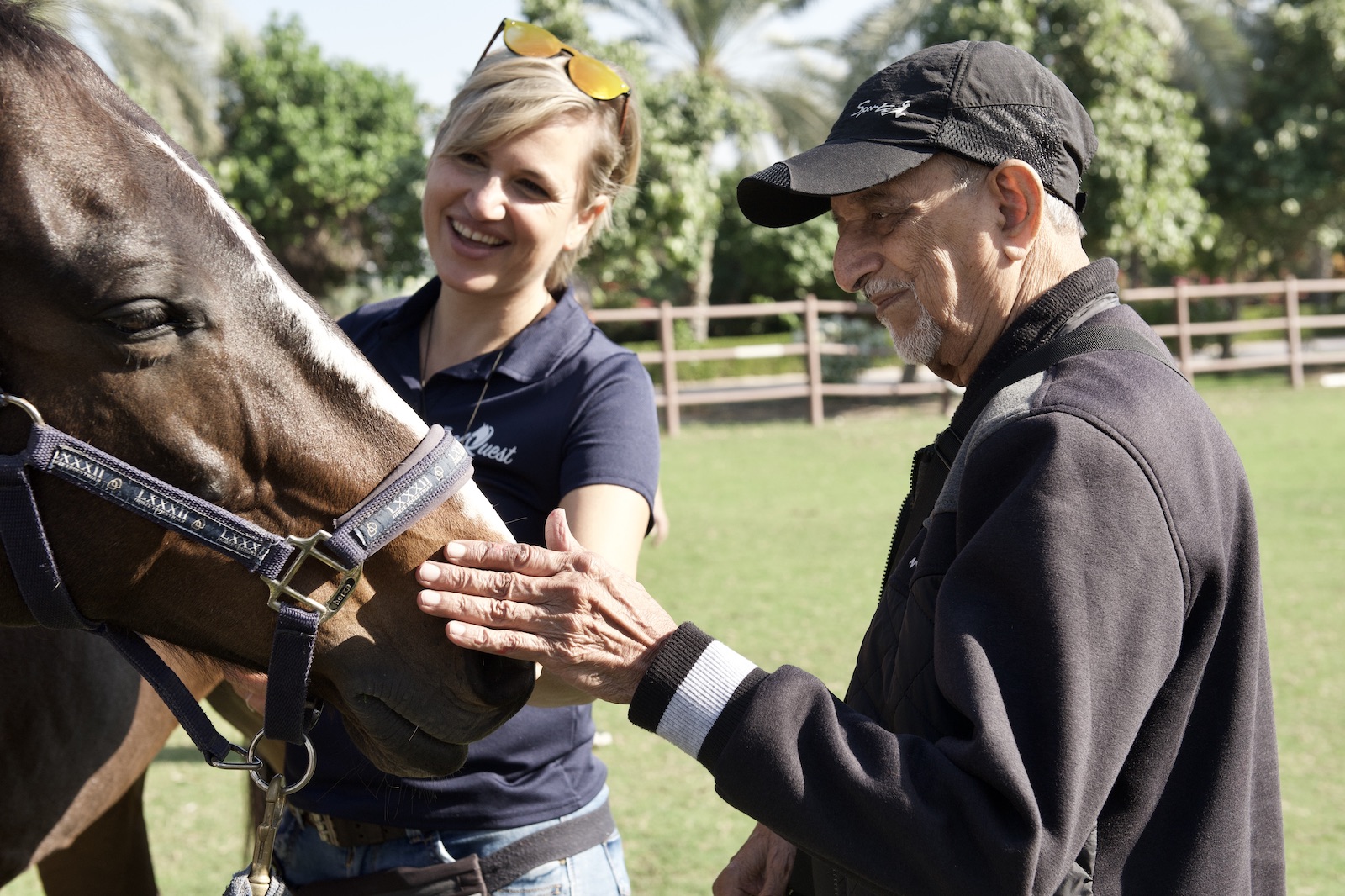 equine therapy horses dubai abu dhabi requirements retirement