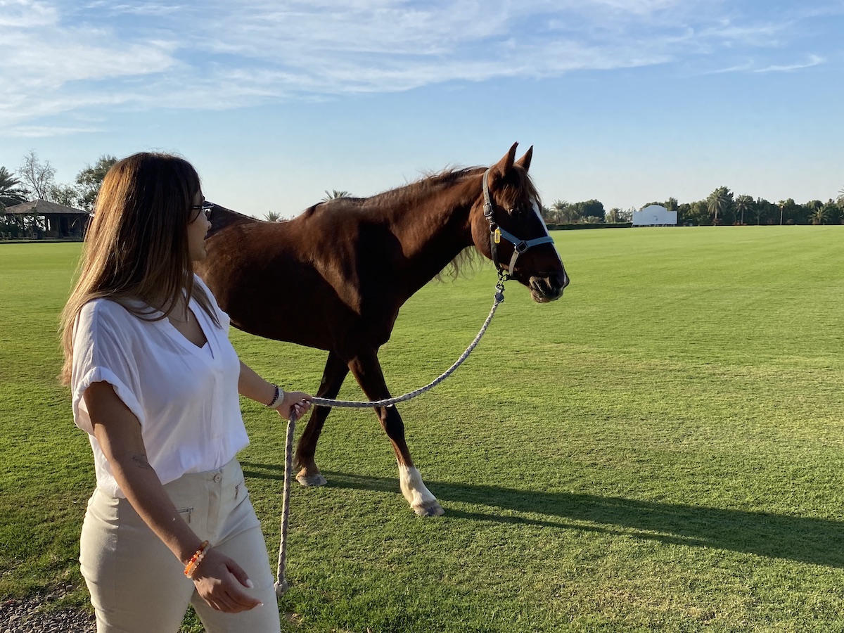 horse guided empowerment coaching session dubai