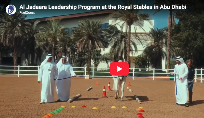 Al Jadaara Leadership program uae government horses