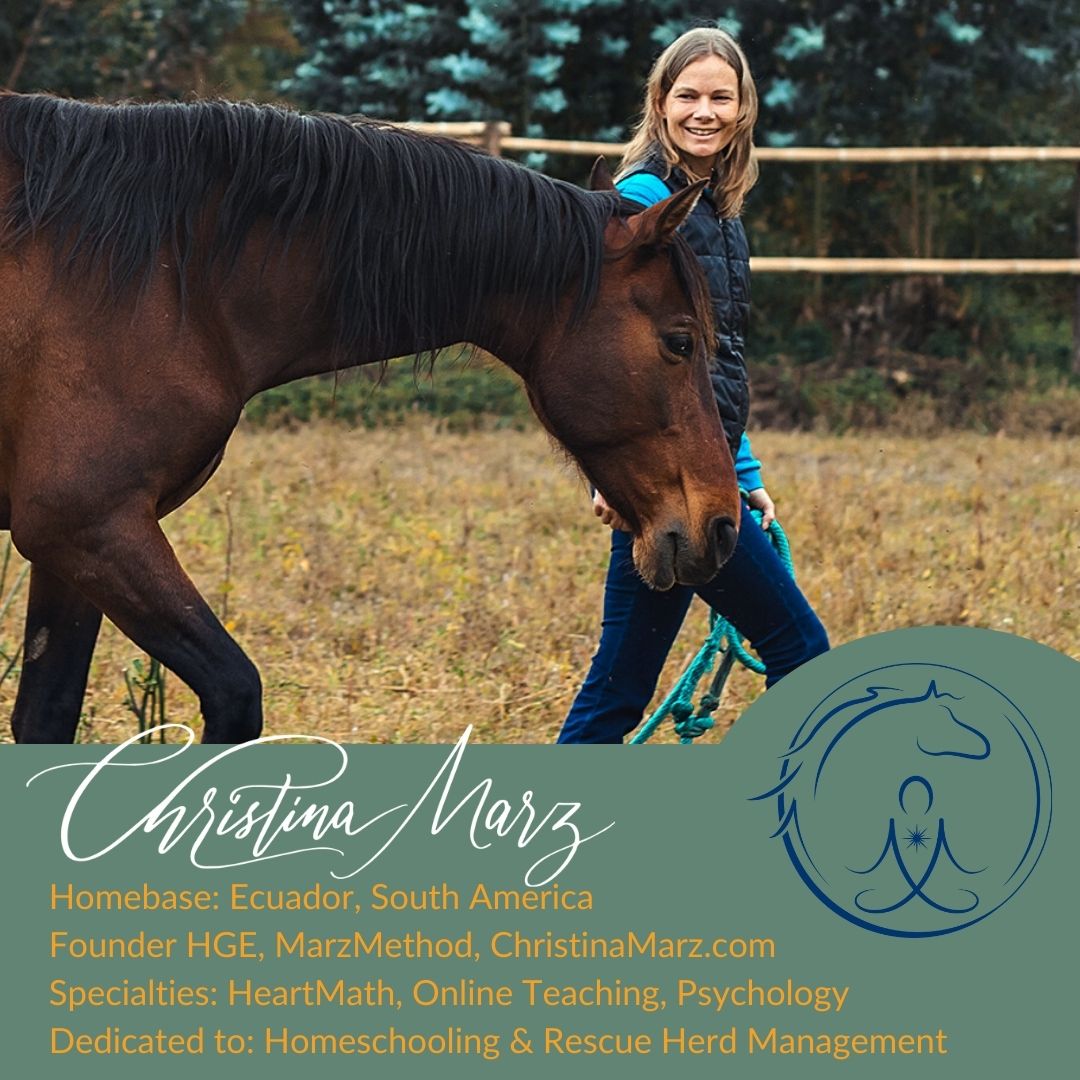ChristinaMarz-Horseriders-online-naturalhorsemanship.jpg
