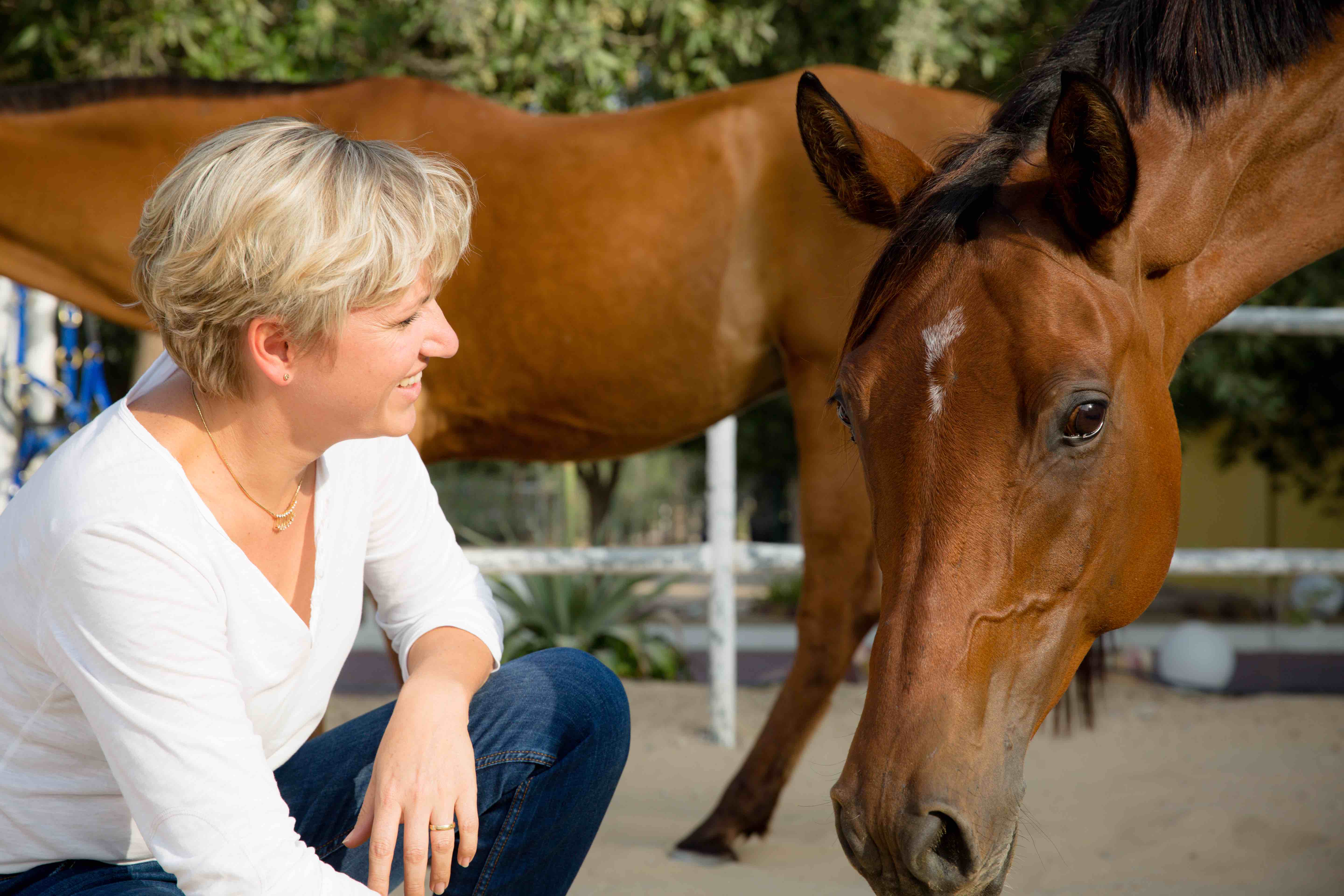 connecting to the horse - horsemanship and just being ourselves! Self development and self esteem