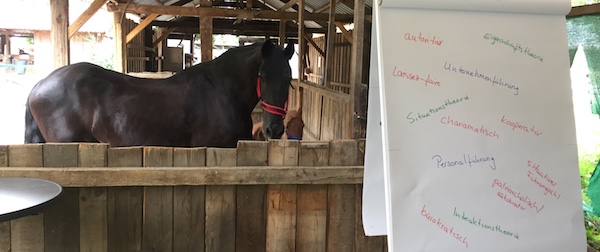 future leaders are trained with horses - Dubai and Abu Dhabi university students get to experience leadership
