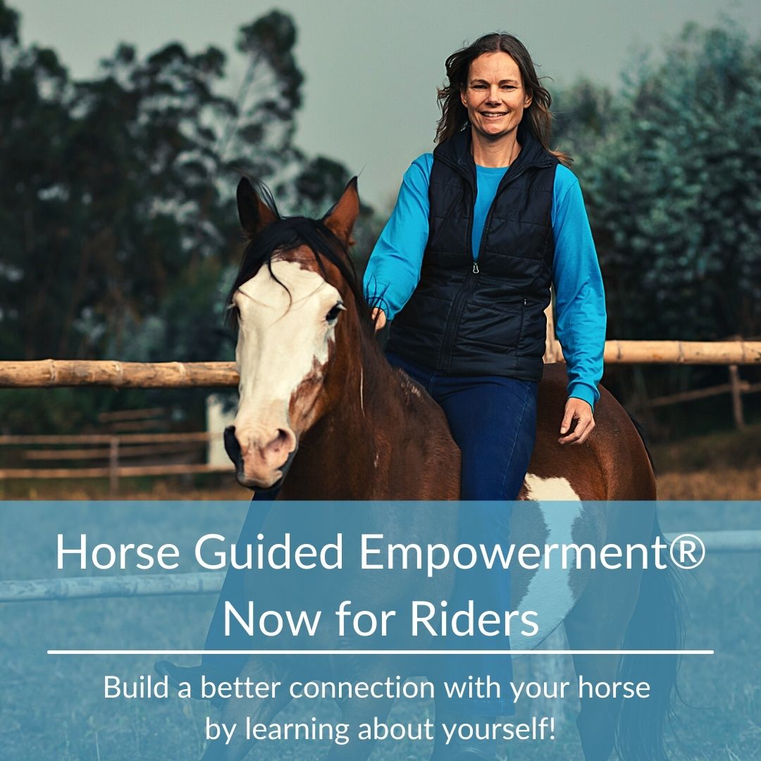 EmpowerME: In this new online course, build true true horsemanship through feel and learning about yourself.