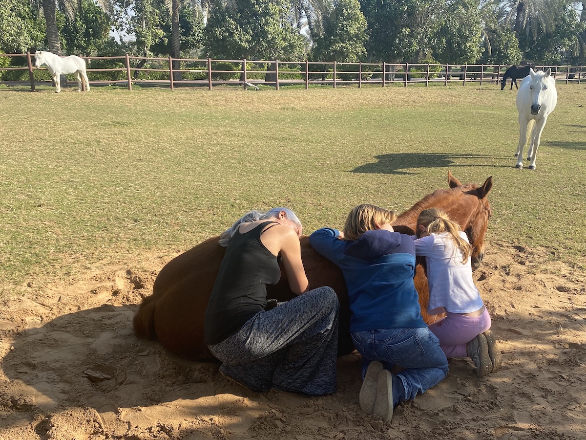 Family coaching session horses dubai
