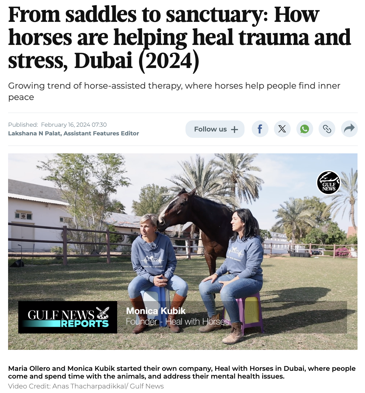 horses are helping heal trauma and stress Dubai 