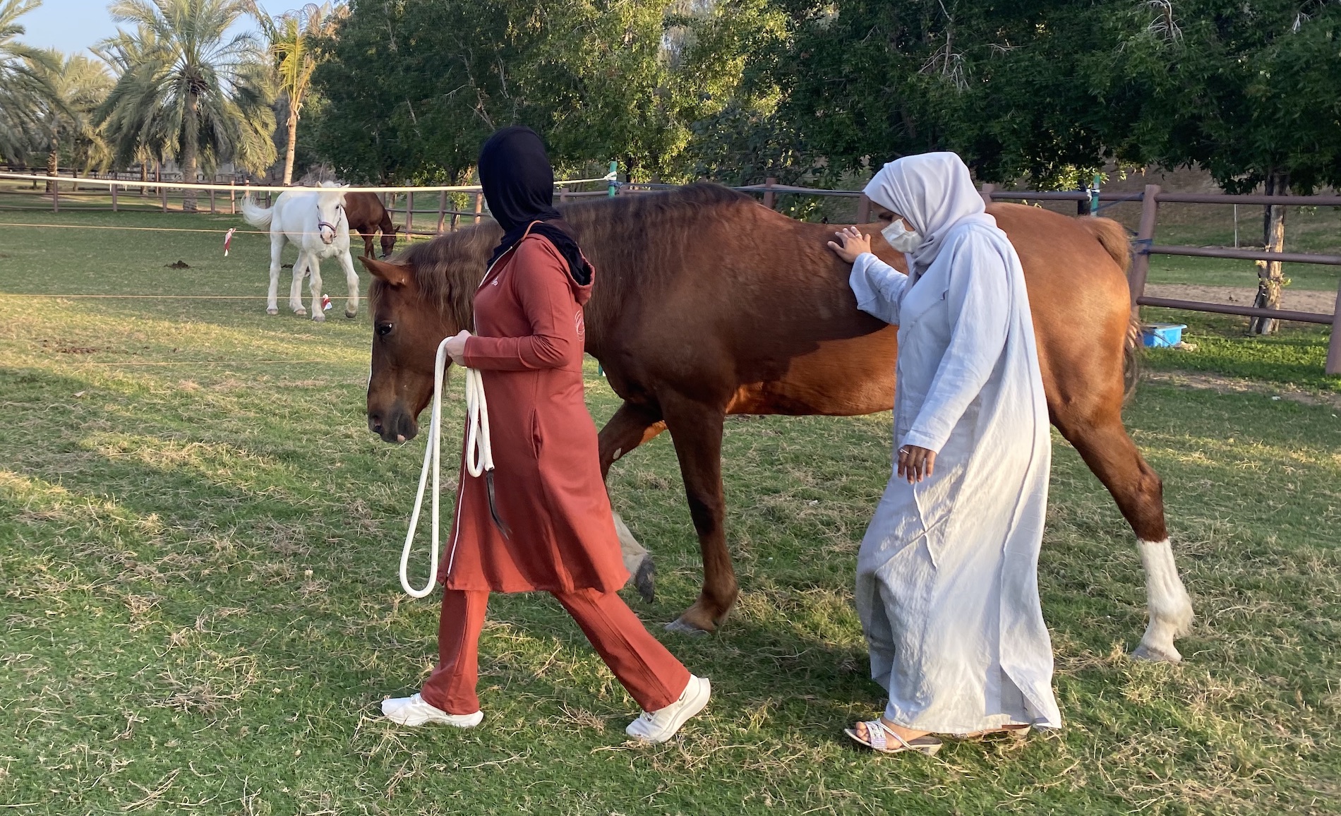 Inclusion workshop equestrian association for people of determination dubai uae tolerance horses