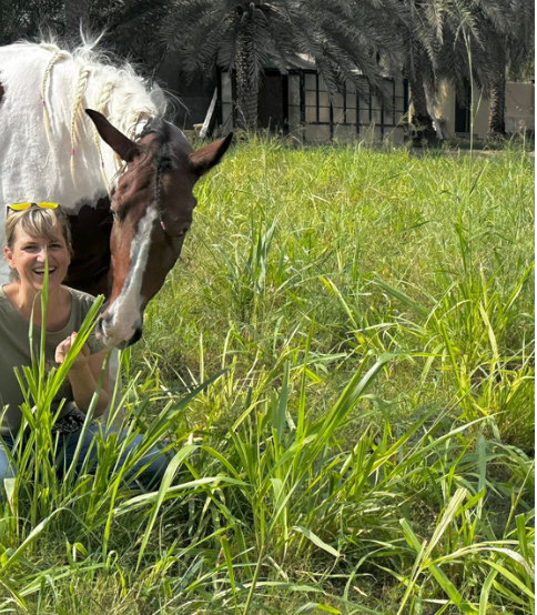 Kalba Team Building Fujeirah horses nature
