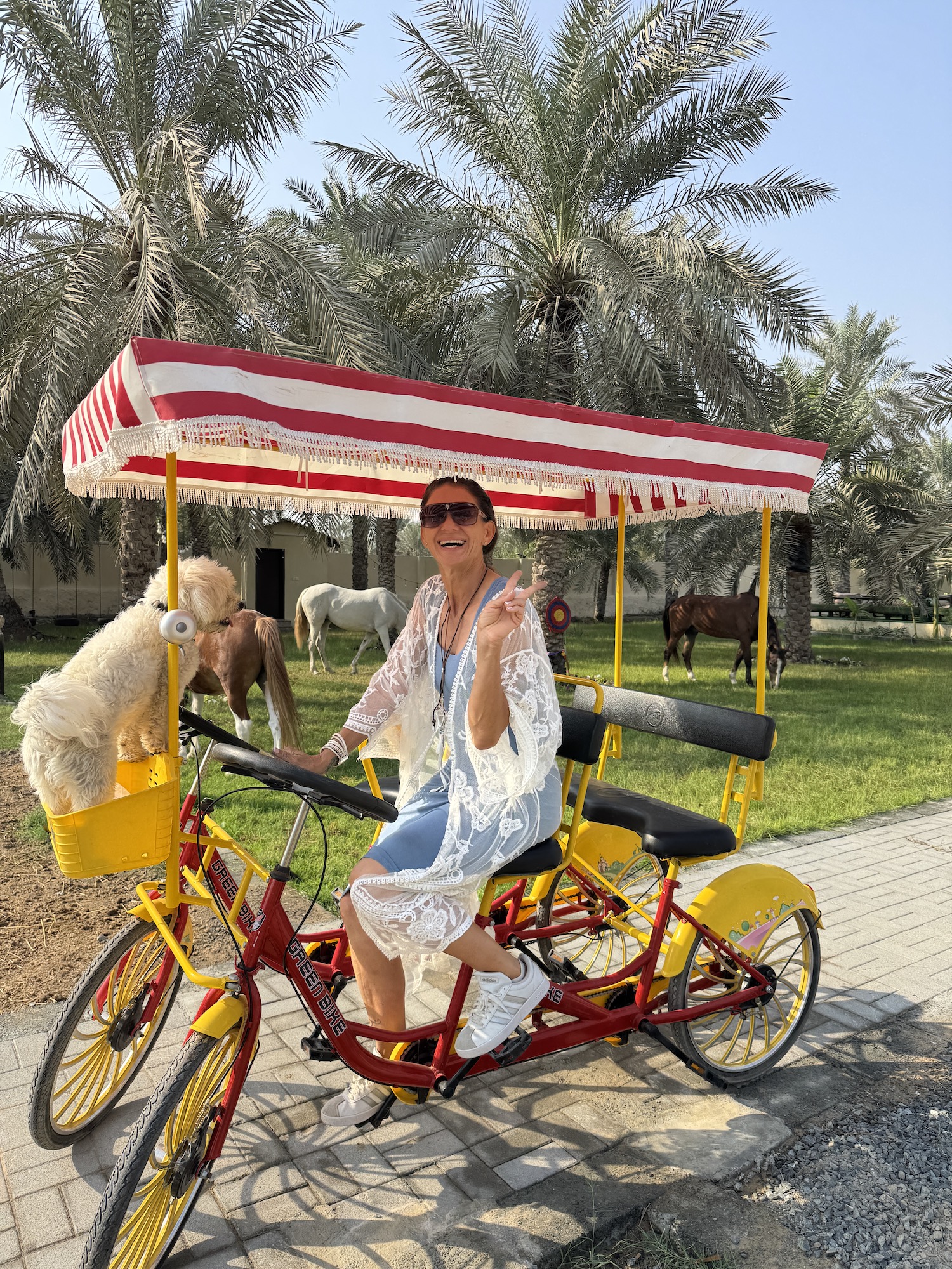 Angie Extreme Equestrian Horse leadership farm