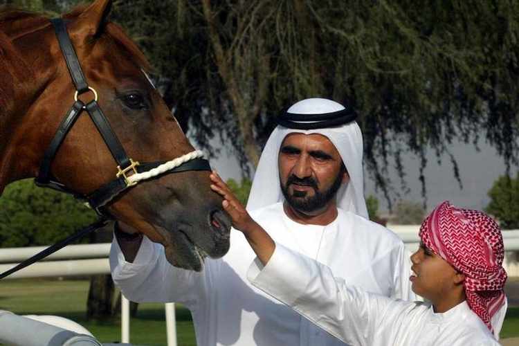 Dubai - what we can learn from horses
