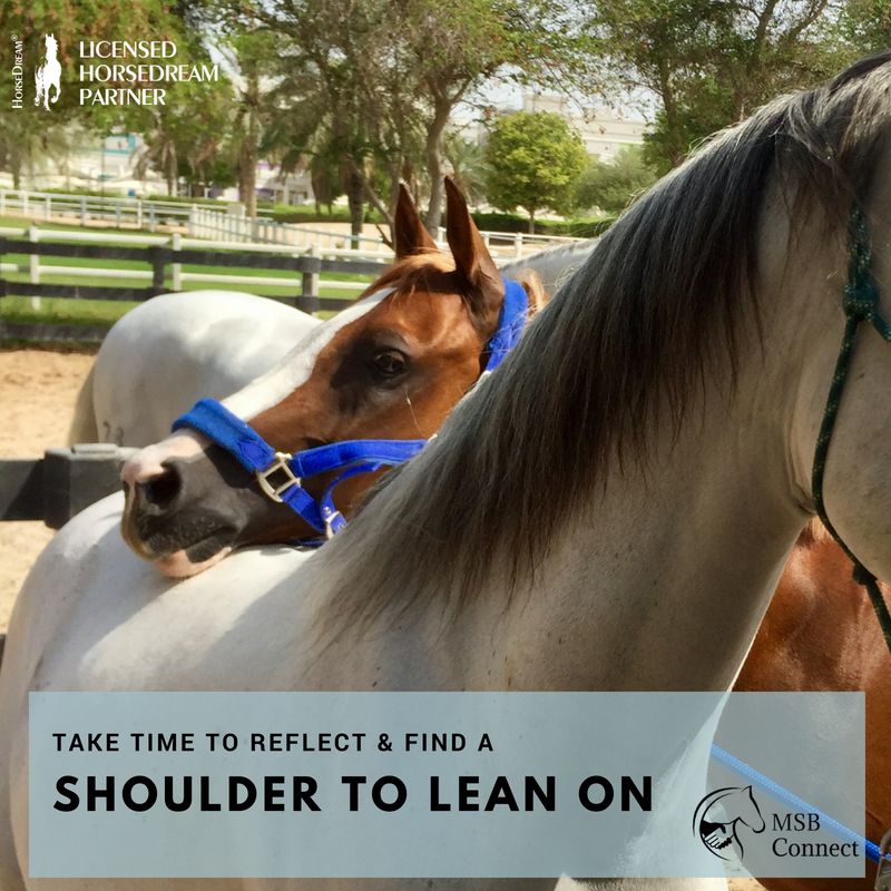 Self reflection and stress management through horses