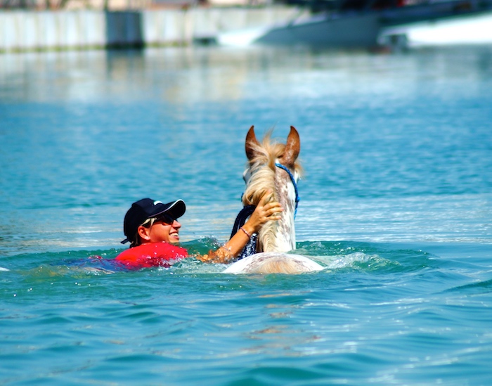 Dubai - connecting riders and horses