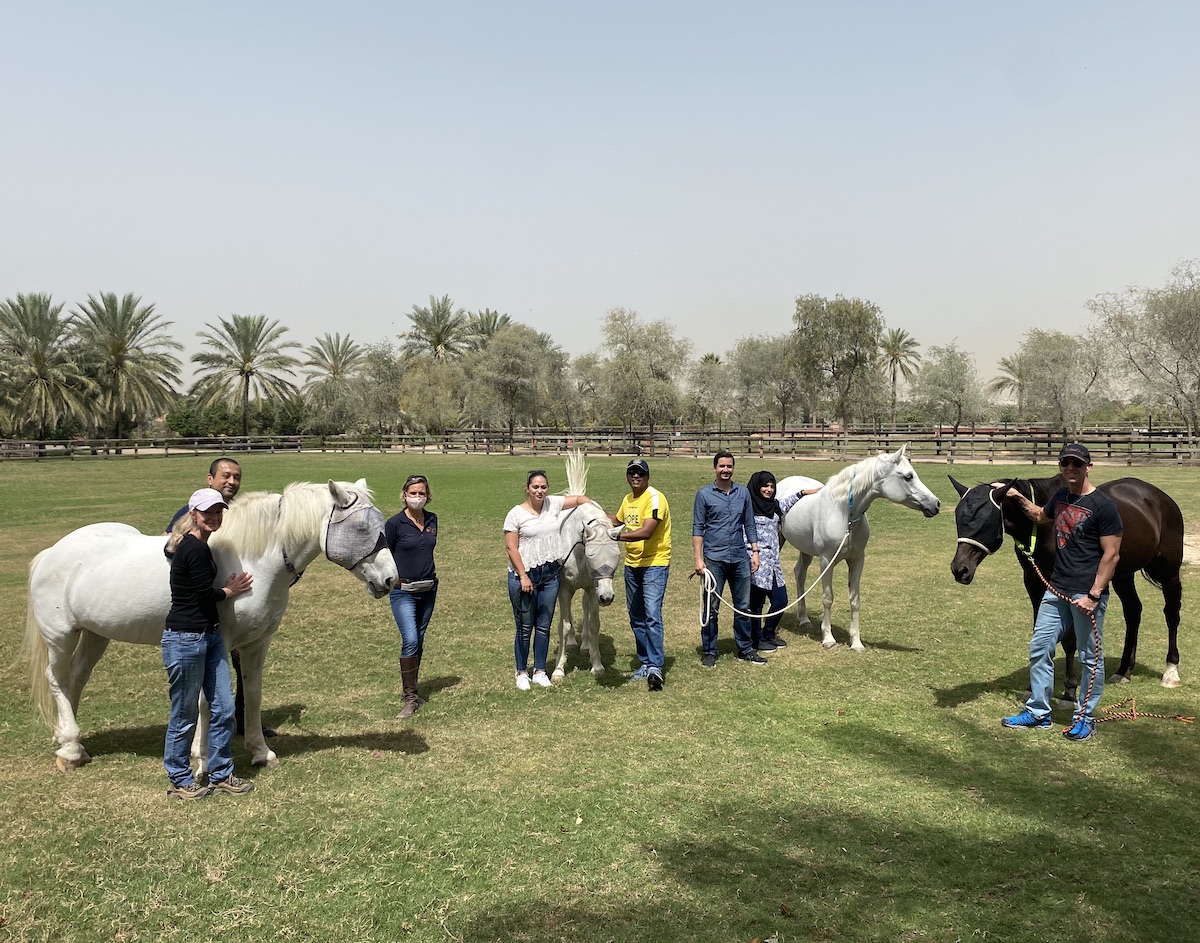 Team Building workshop leadership horses dubai