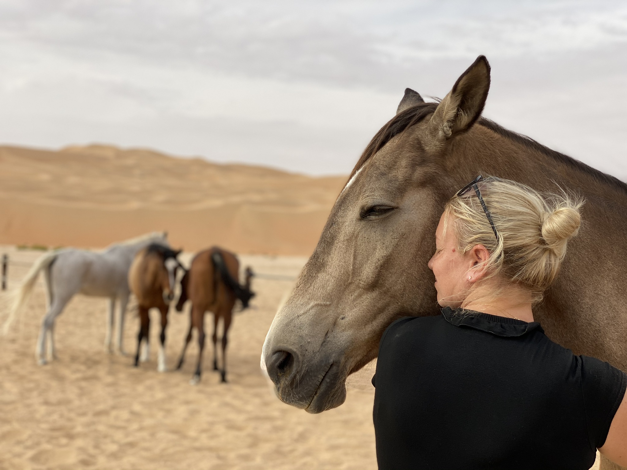 authenticity, learning with horses, developing intuition, mindfulness activities, how to practice mindfulness