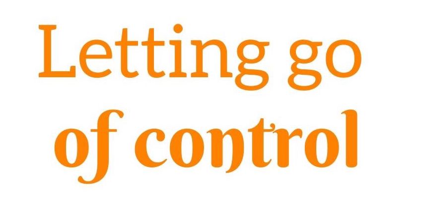 2020 shows us that we cannot control everything in our lives - what if we dare to let go of control and just enjoy the ride?