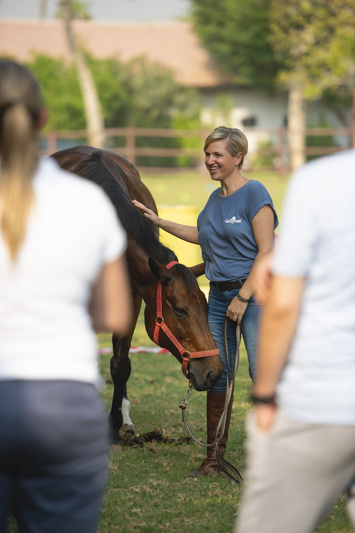 Do you love horses and want to start your own consulting business? Look no further...  help humans and horses alike!