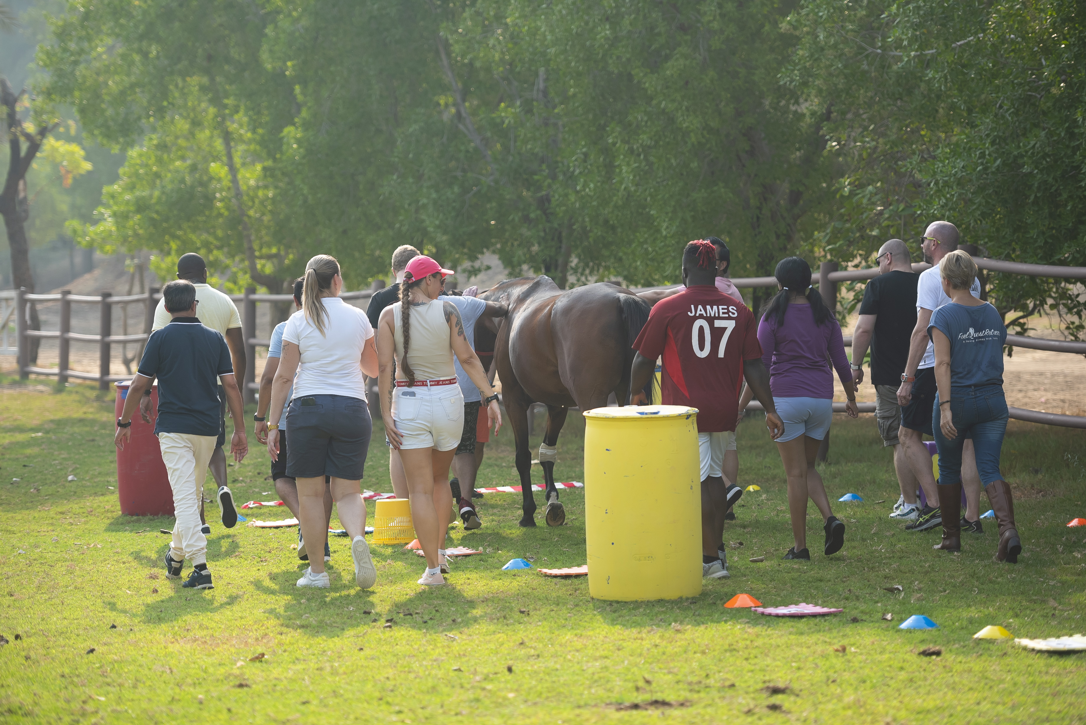 Team workshop horses dubai