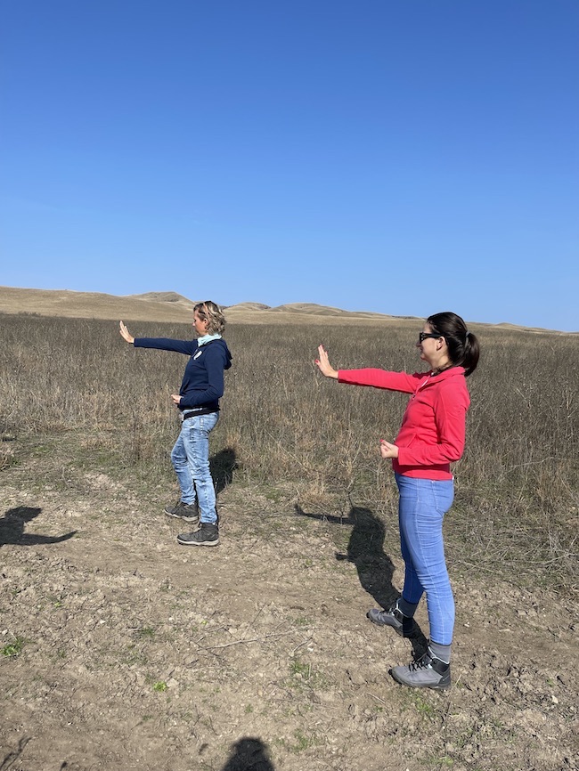 Embodiment coaching no pose Embodiment coaching no pose