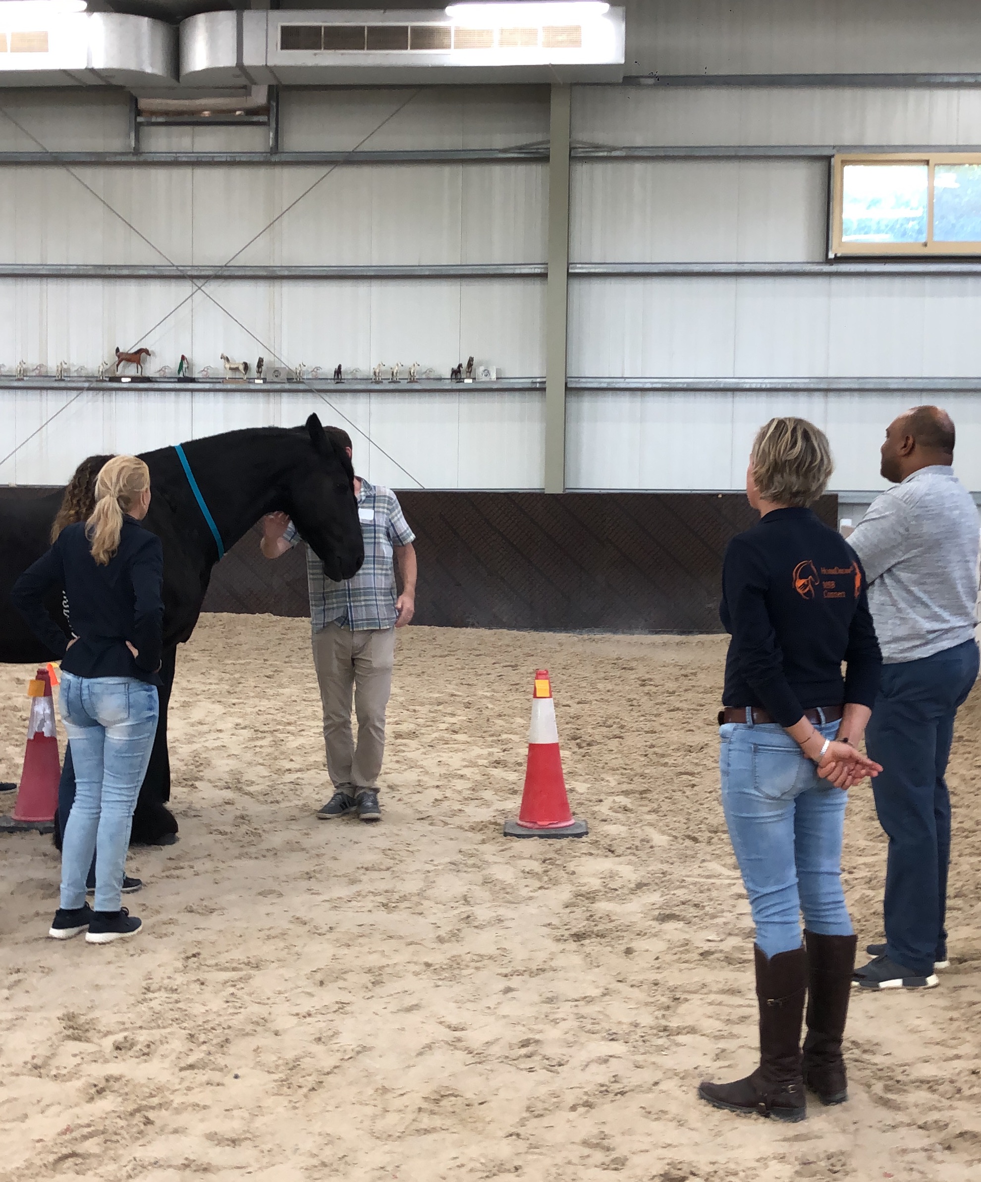 abu dhabi team building with horses workshop