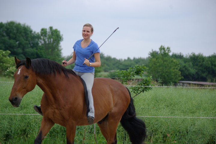 rider, fun, Dubai, horsemanship, bareback