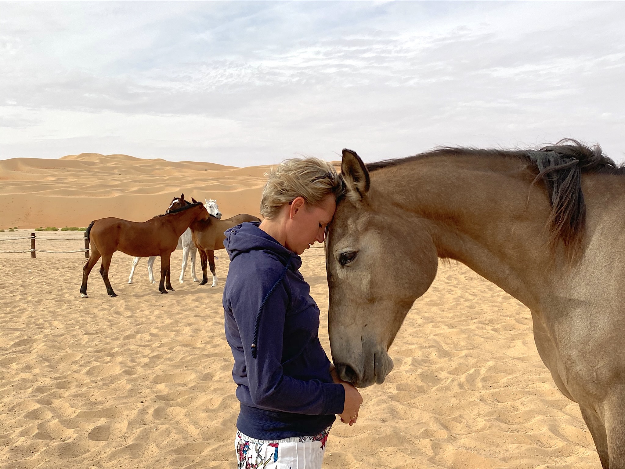 coherence through Horse Guided Empowerment, mind body soul, mindfulness, desert, Dubai