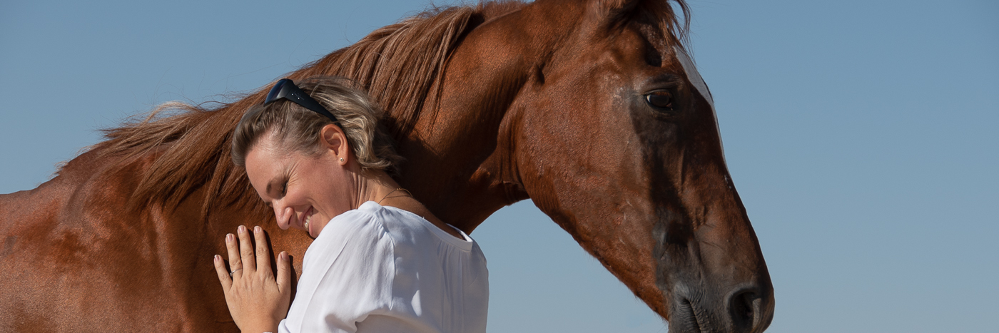 Design GCC equestrian complex facility resort specialist