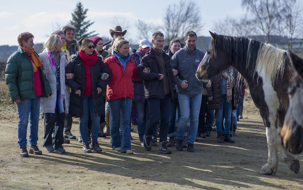 Future Smart Leadership Through Horses