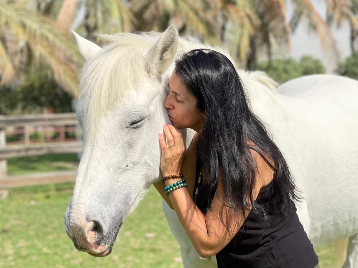 Embodiment coaching dance horses dubai session