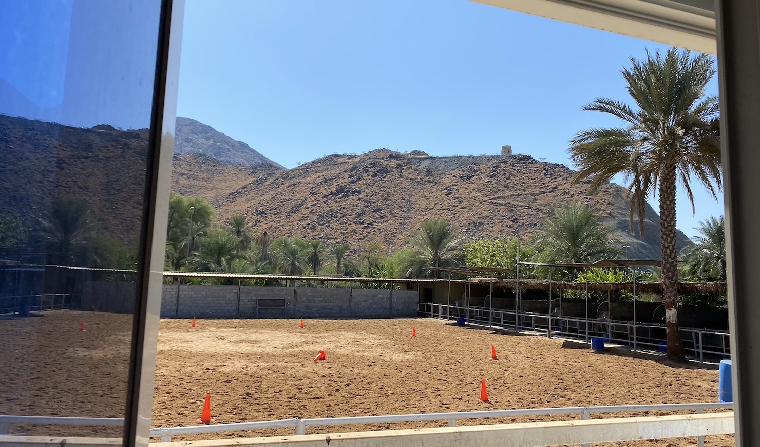 Fujeirah, Fujairah, Corporate Trainings, Khor Fakkan, companies, leadership, horses, equine