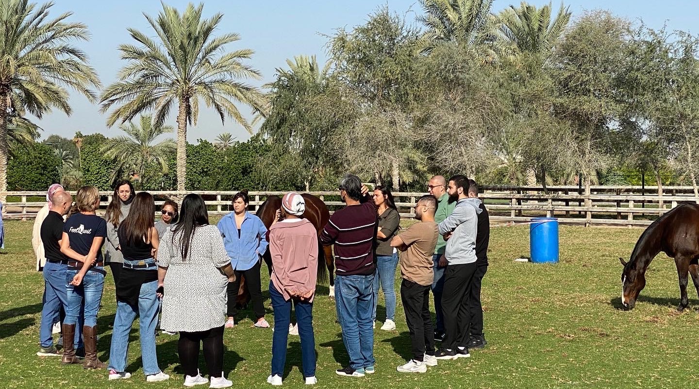 Group coaching team building with horses