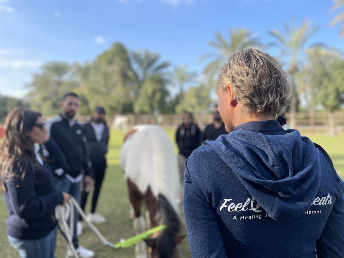 Group session 2023 heal with horses coaching dubai