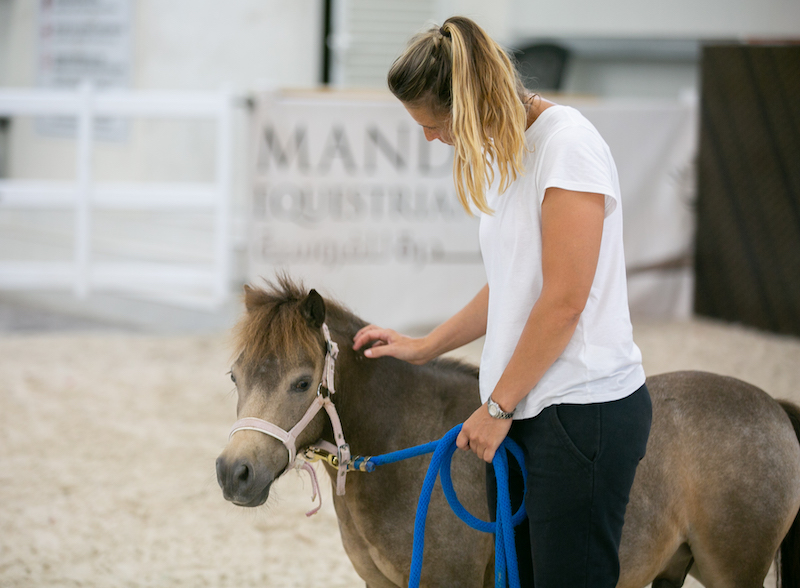 Health from nature, being in nature, dubai, horses, coaching, leadership