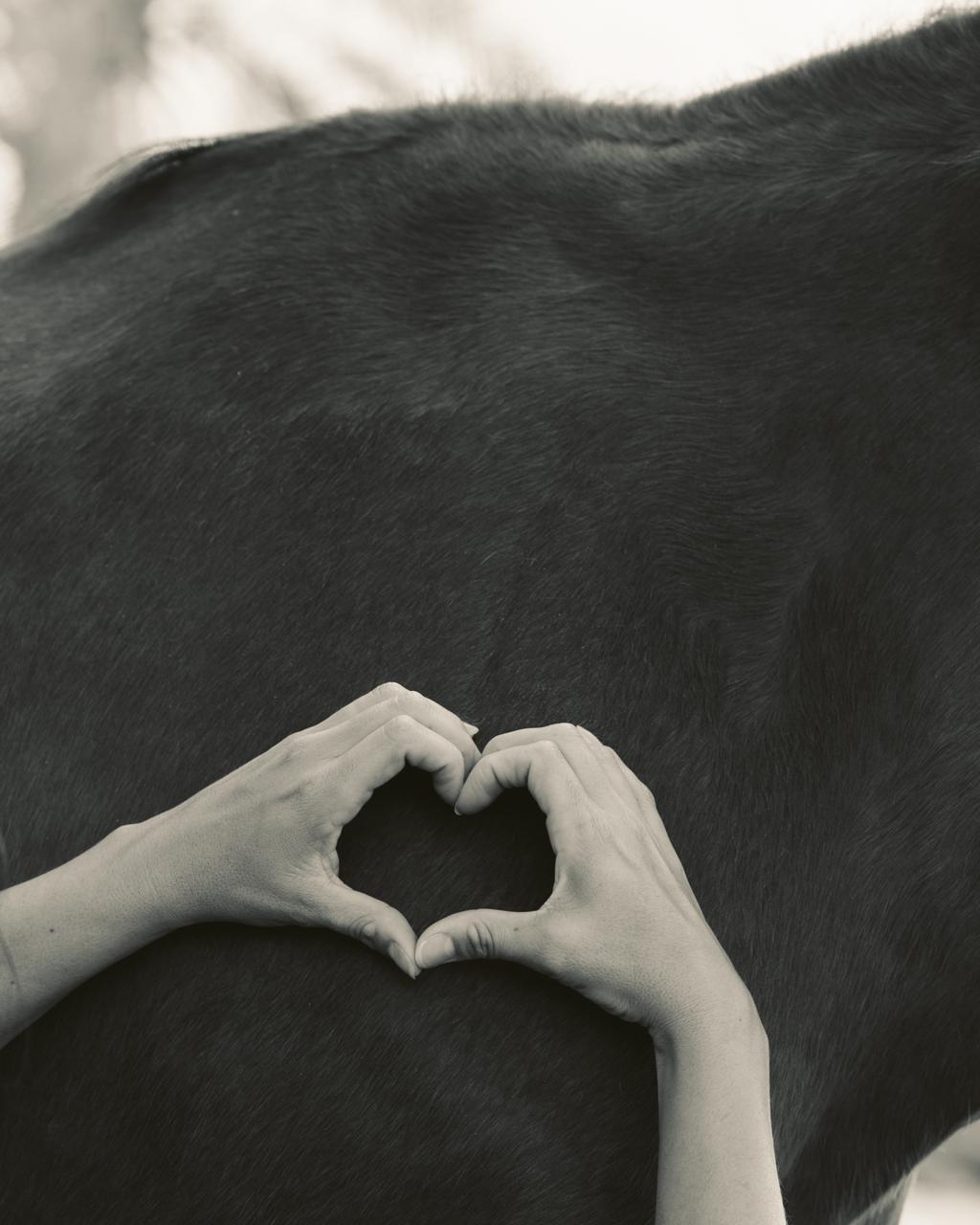 Heart and Horse sound healing retreat massage dubai