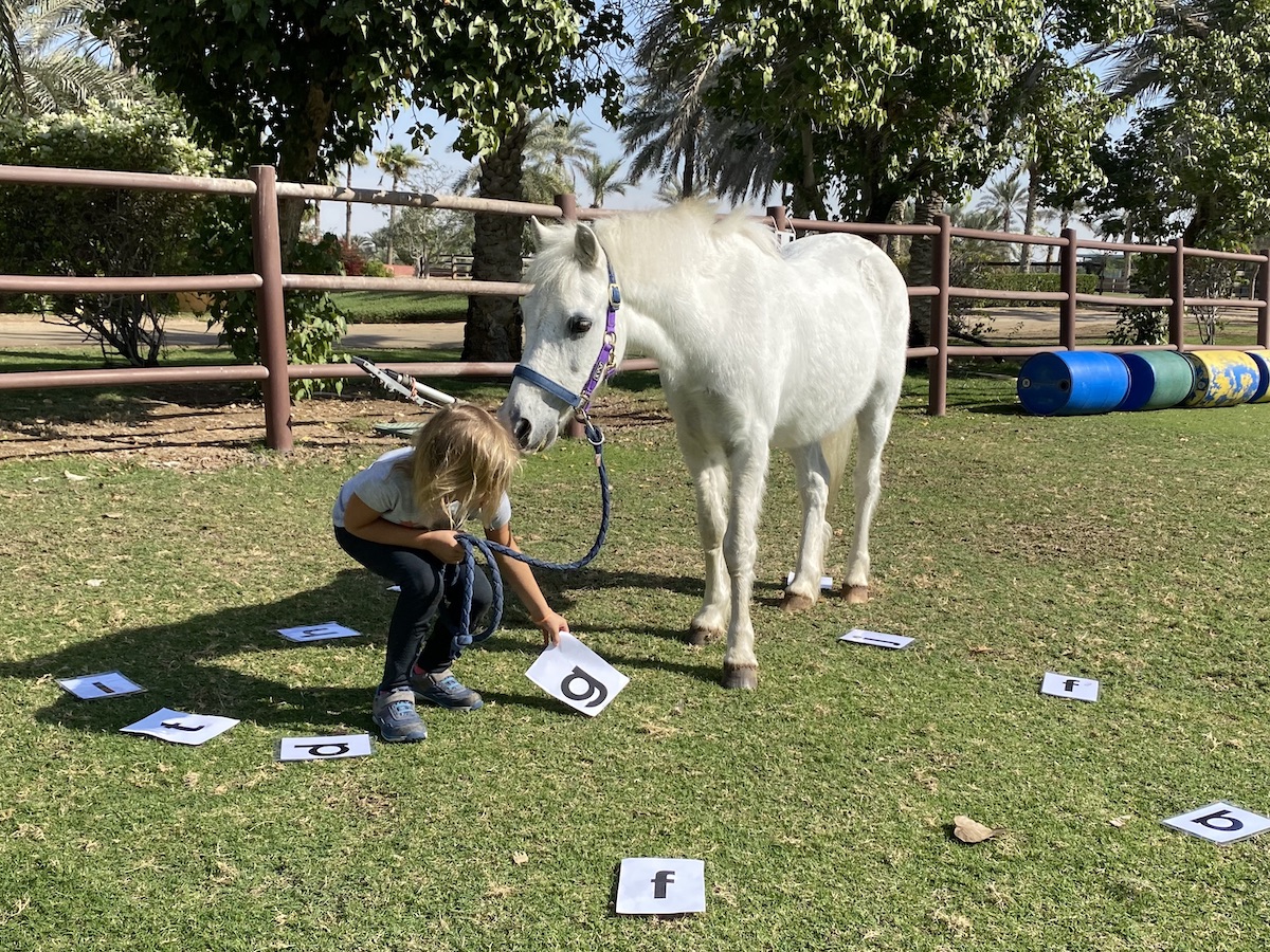 horse powered reading home school kids dubai