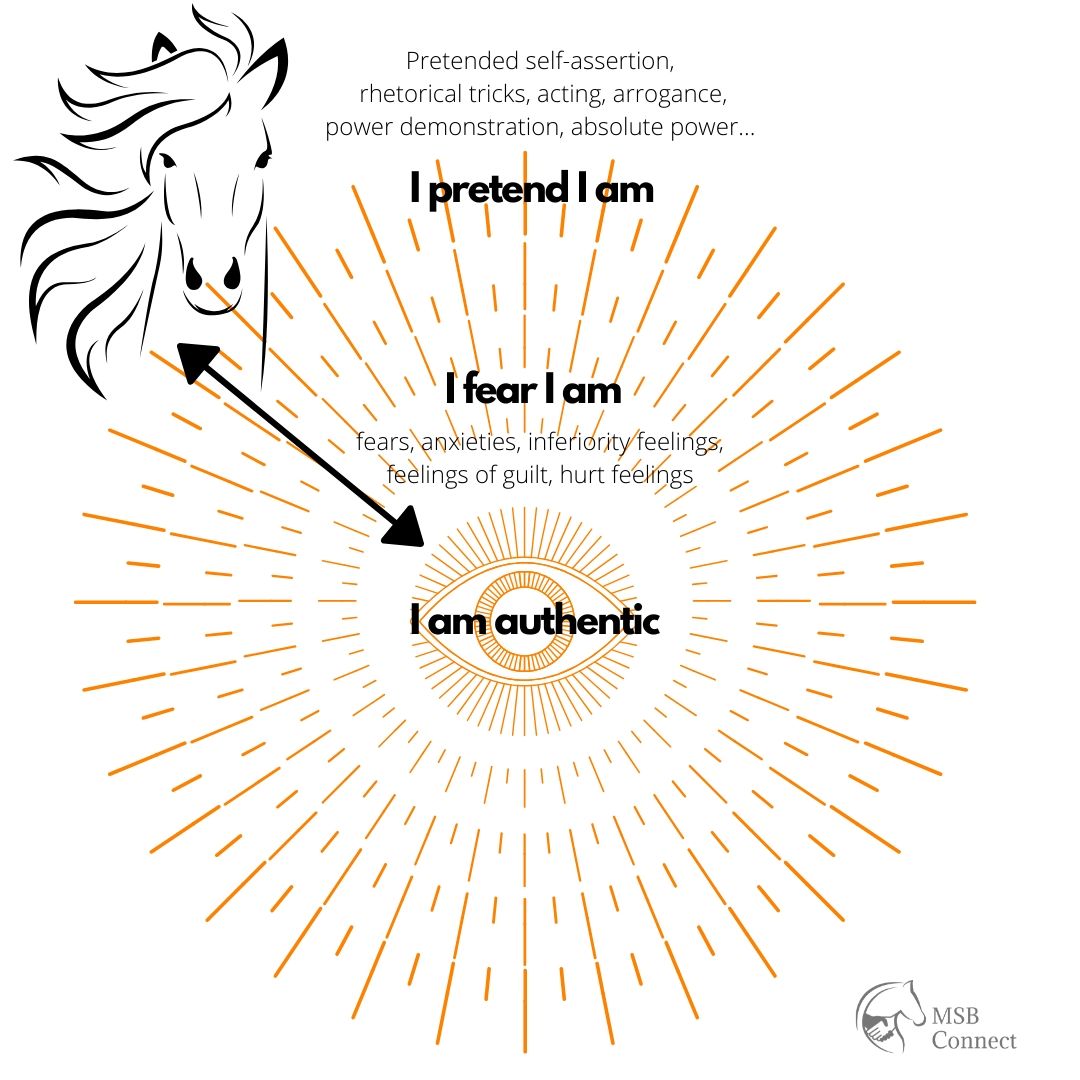 authenticity, horses, happy life, be true to yourself, being true to yourself, intuition, developing intuition