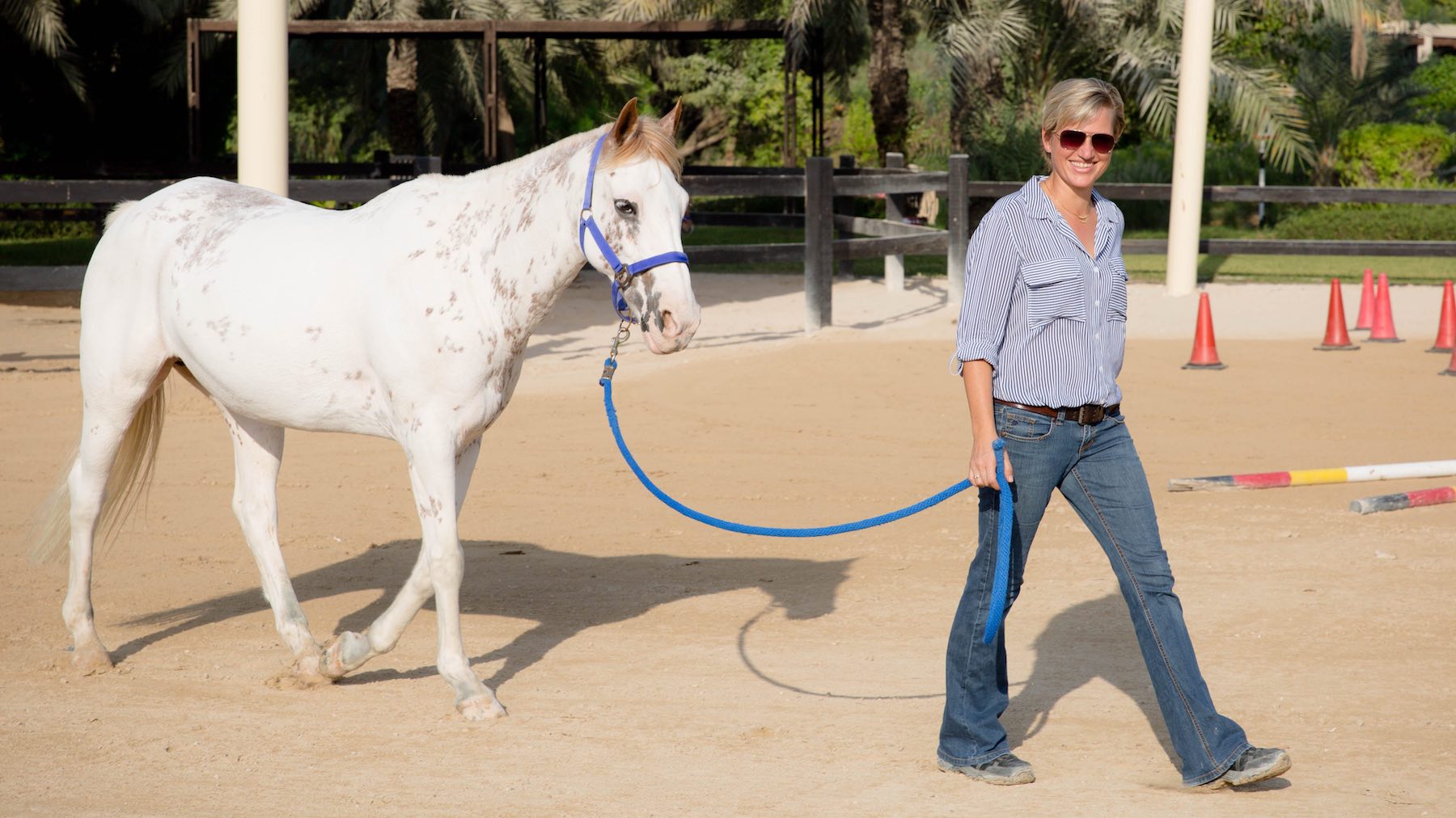 Leadership training with horses - Horsedream Dubai