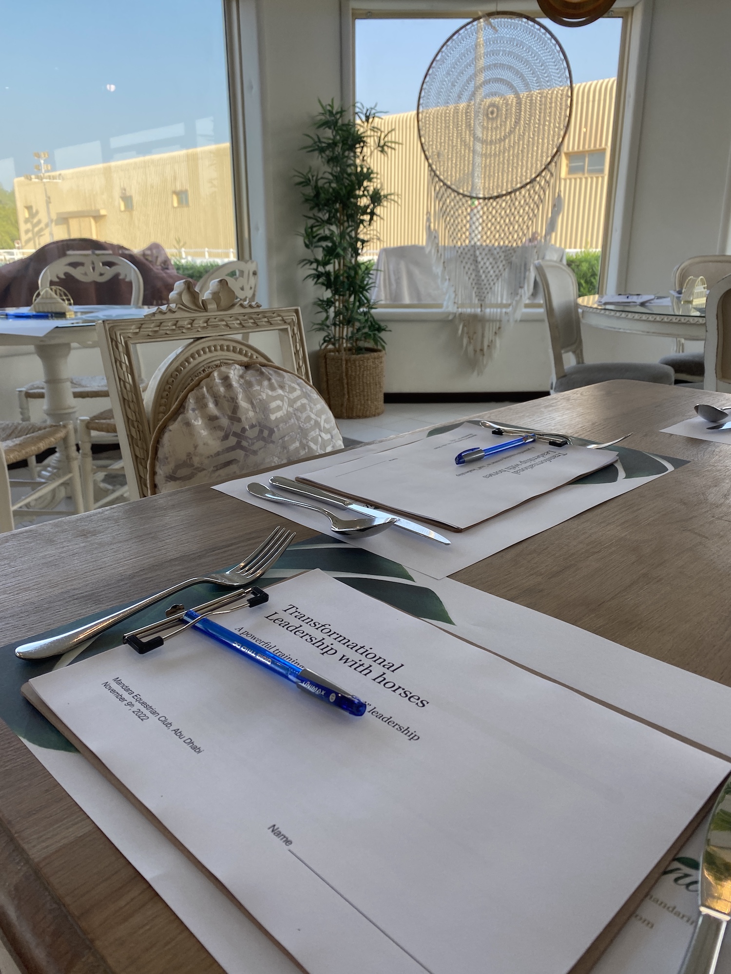 Cafe Mandarina leadership training horses Cafe Mandarina leadership training horses