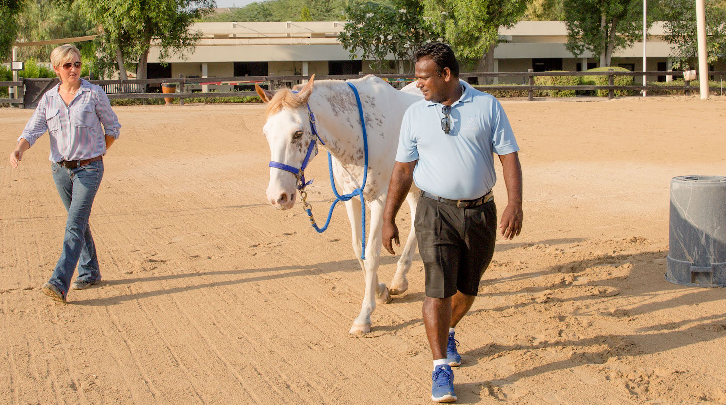 leadership seminar with horses in Dubai