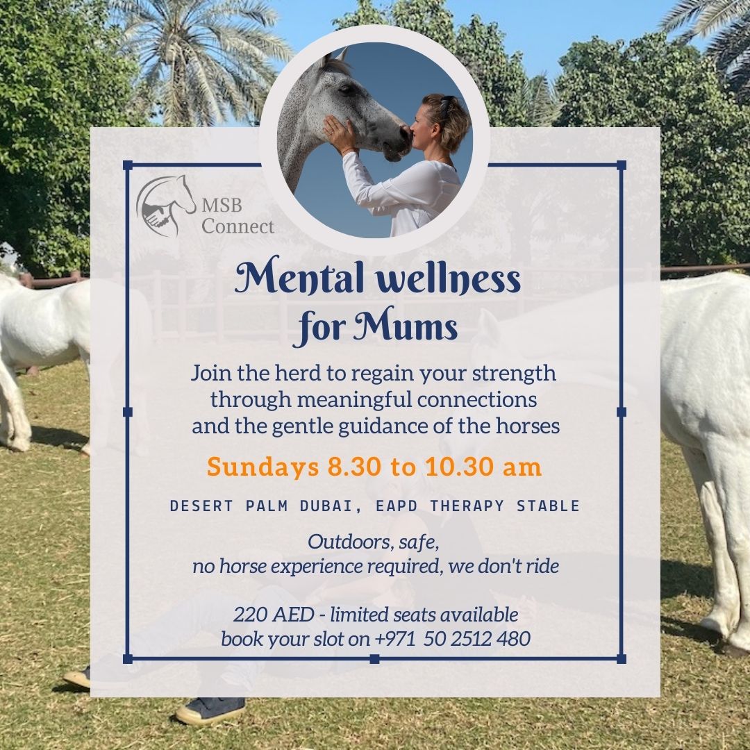 Sunday mornings in Dubai: Join the herd of therapy horses to regain your strength and balance