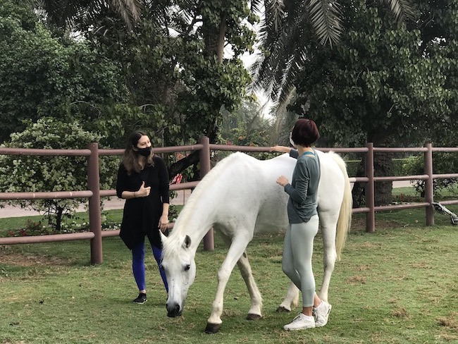 mothers connecting horses equestrian menta health dubai
