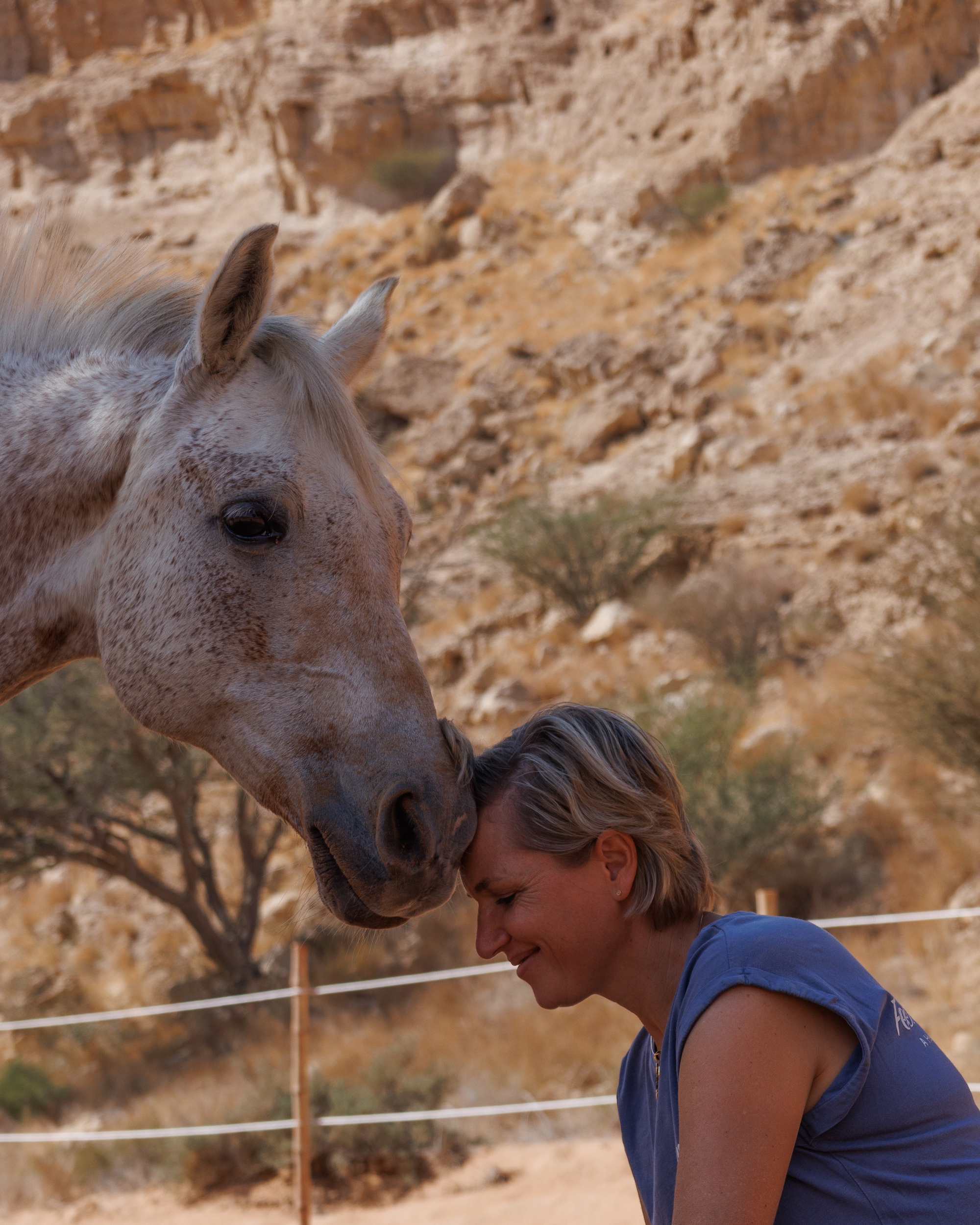 Breathing with horses desert