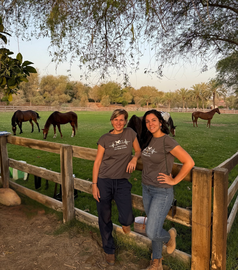 Upcoming horse guided coaching sessions in dubai open group events